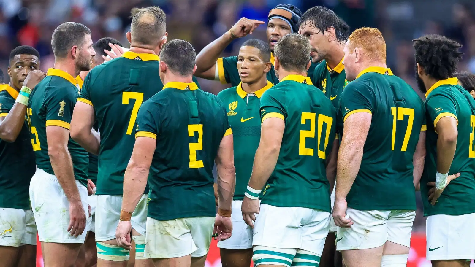 Springboks vs France