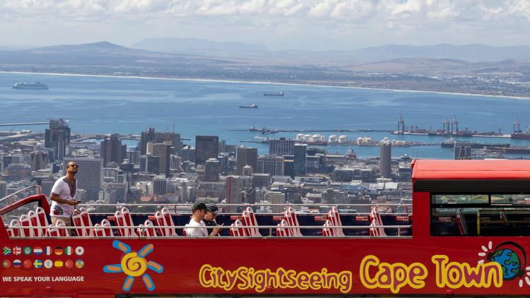 Cattle ship Cape Town