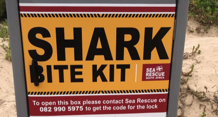 Shark attack Cape Town